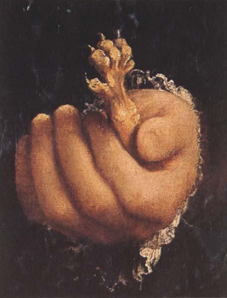 Lorenzo Lotto Man with a Golden Paw (mk45) oil painting image
